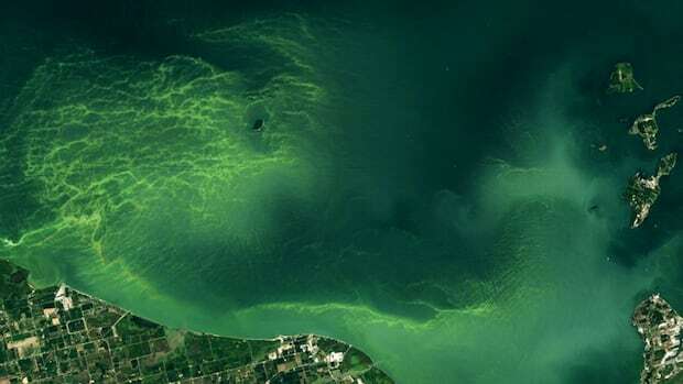 Toxic algae is invading Canada’s lakes. This early warning system could help