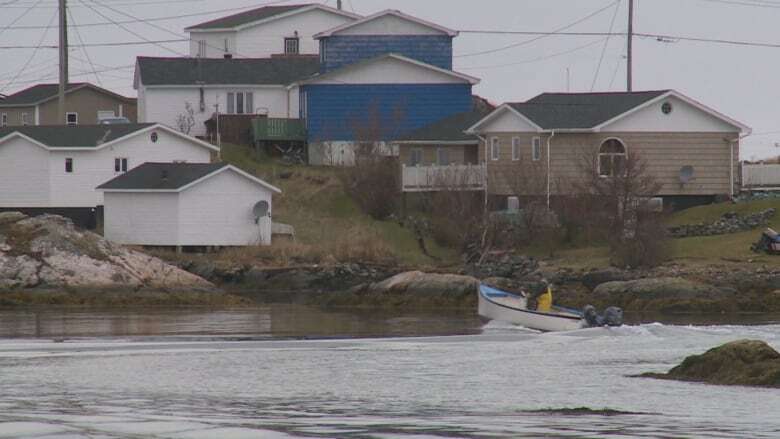 Tests that showed E. coli in Isle aux Morts water were false positives, says town official