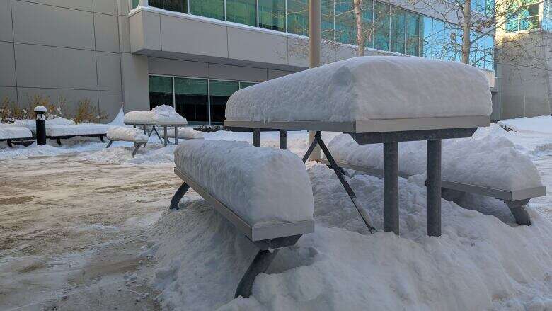 Calgary digs out of record-setting snowstorm as bus route detours stay in effect