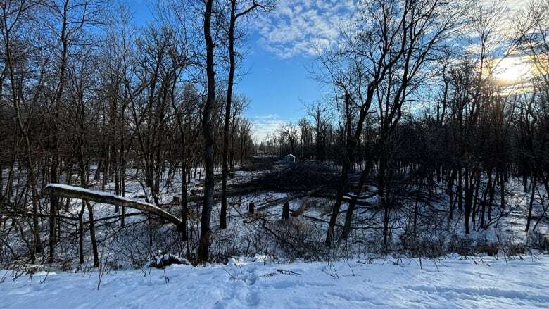 Protesters camped outside Lemay Forest ordered to stay off property