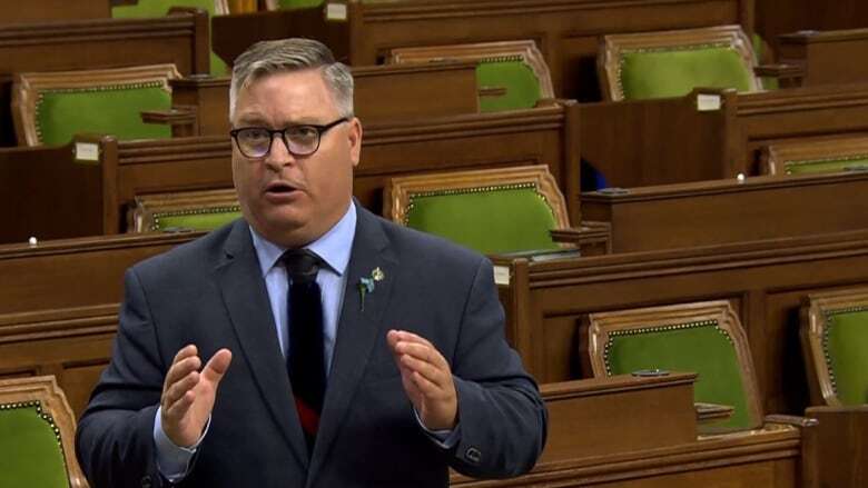 Police deny MP's claims of child sex trafficking, terrified seniors and 'crack houses' in rural Newfoundland