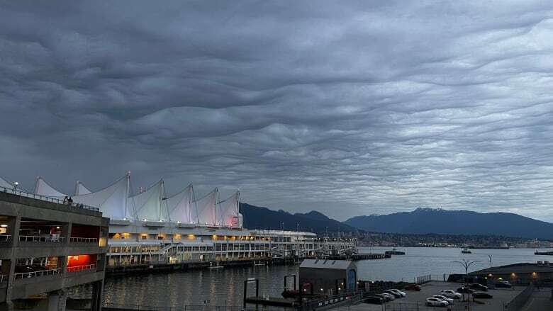 Those strange clouds over Vancouver are called 'asperitas,' and they are very rare