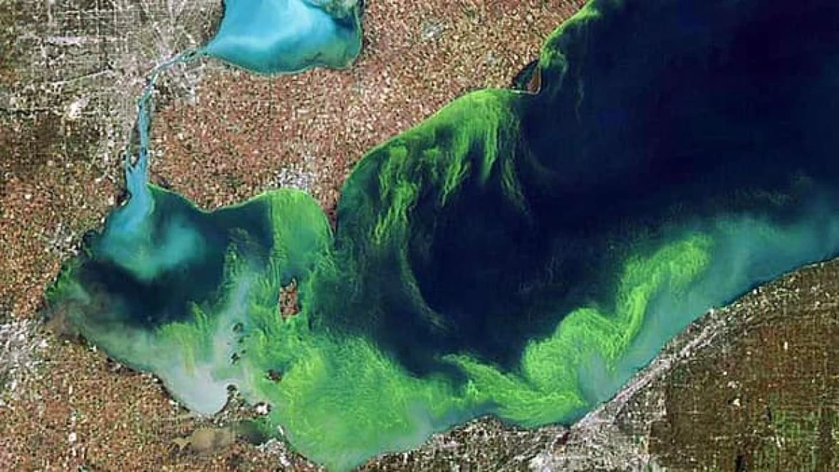 Researchers detect blue-green algae toxin in Lake Erie earlier than ever before