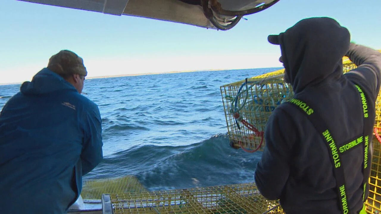 Lobster association reflects on challenging season
