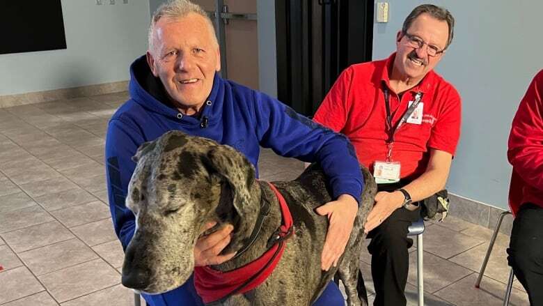 Meet Bentley, the therapy dog bringing a smile to residents at a Windsor, Ont., shelter