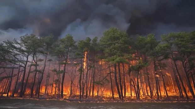 New Jersey wildfire could become state's largest in 2 decades