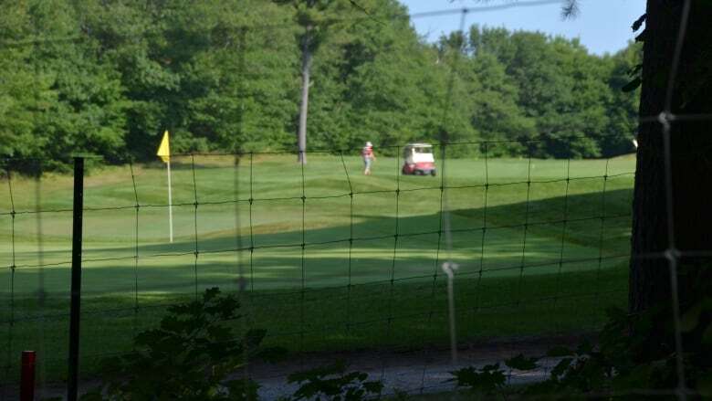 'We can create a new history': Indigenous burial mounds on northern Ontario golf course fenced off