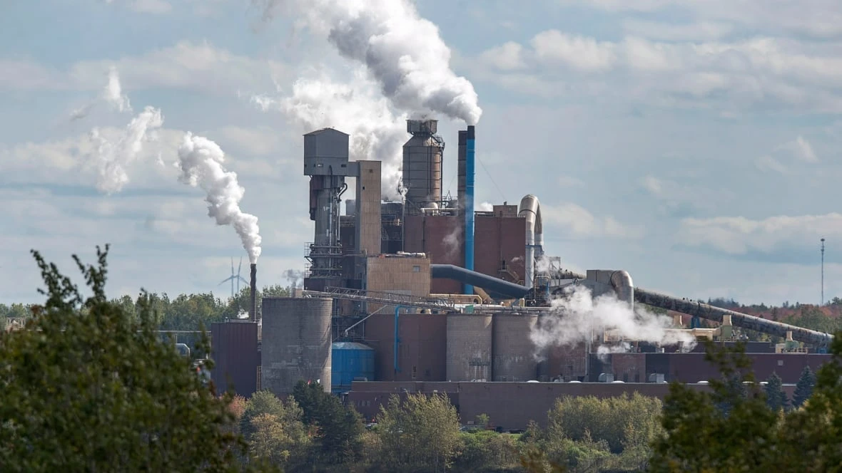 Nova Scotia waiting on cleanup plan from Northern Pulp for defunct mill