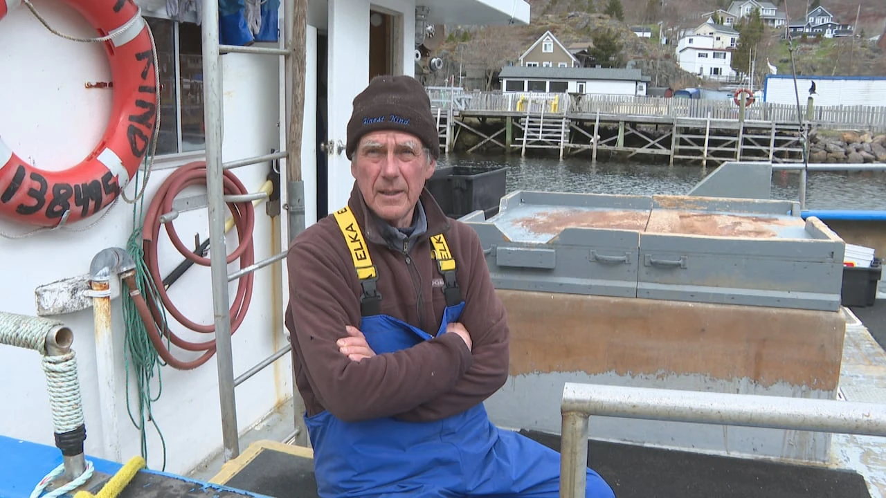 'Storms are getting bigger': N.L. fishers celebrate new funding for harbour upgrades