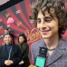 Fans go wild for Timothée Chalamet at Toronto mall