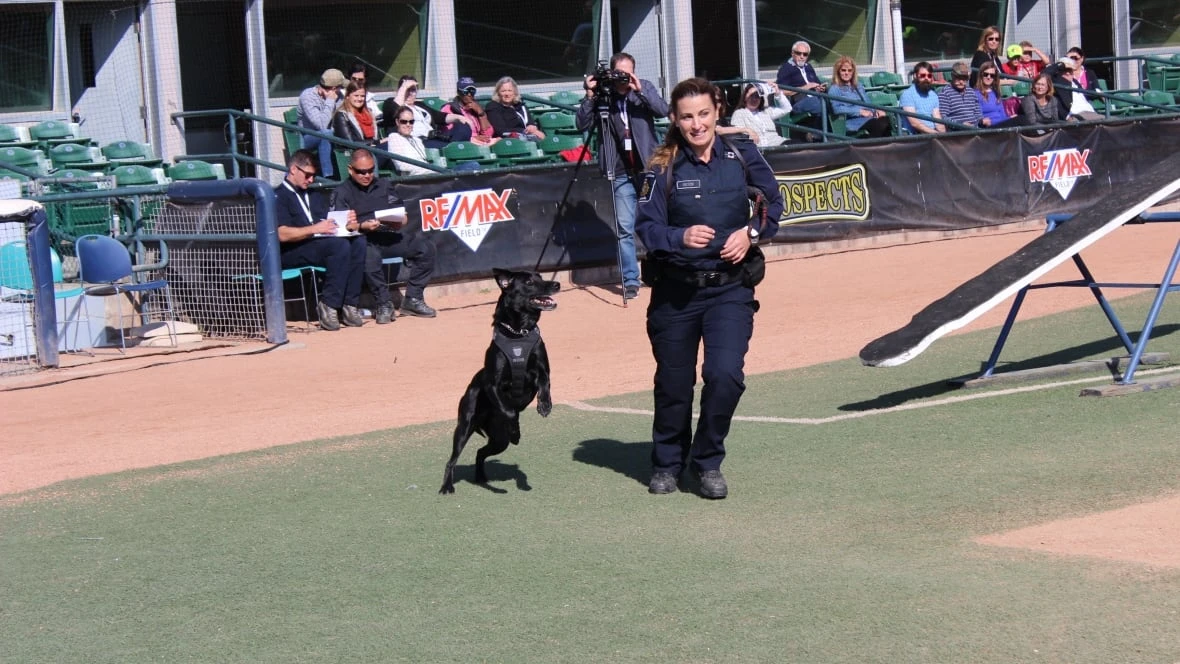 Ex-CBSA dog handler who contested maternity leave policy faced 'mobbing' of harassment: report