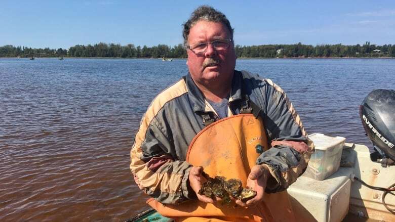 Facing MSX parasite crisis, P.E.I. oyster industry calls on government 'to get stuff started'