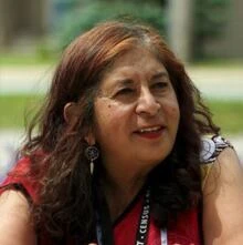 Canada's final census push takes place on foot, as enumerators hit the road to find stragglers