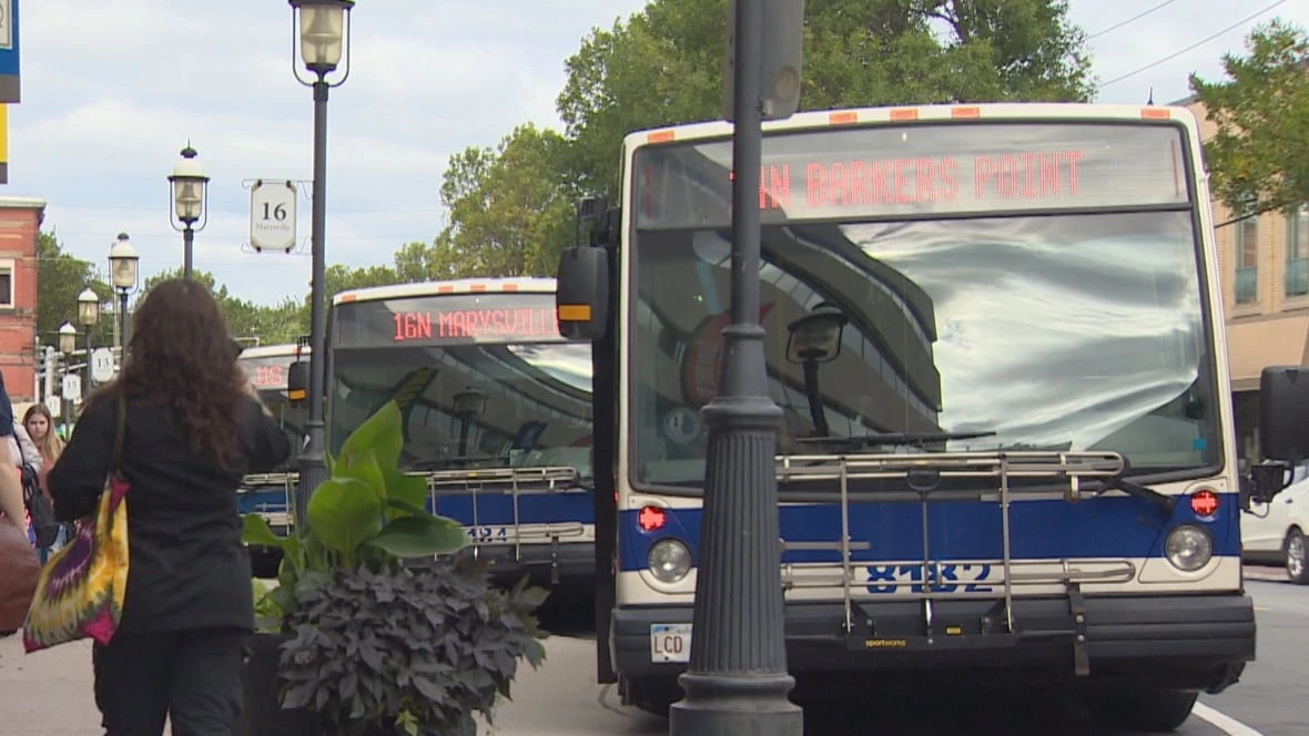 Closure of bus stops troubles some Fredericton Transit users