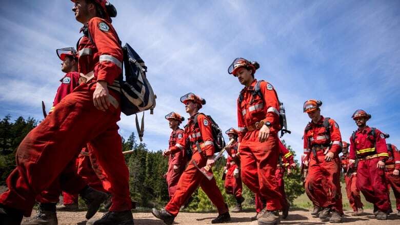 B.C. wildfire fighters in line to get earlier pensions as province, union aim to retain crew members