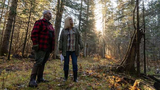 A popular nordic ski area in Thunder Bay is taking steps to prevent the loss of trees from spruce budworms