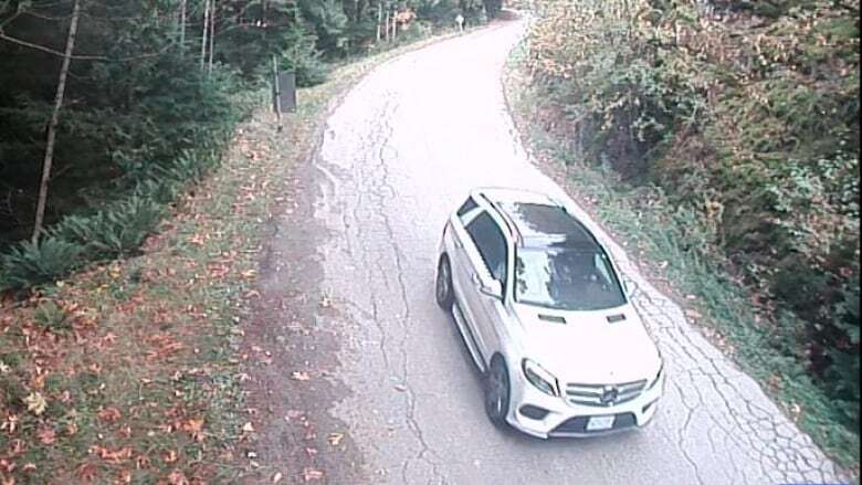 RCMP seek driver believed to have seen Langley senior shortly before she went missing