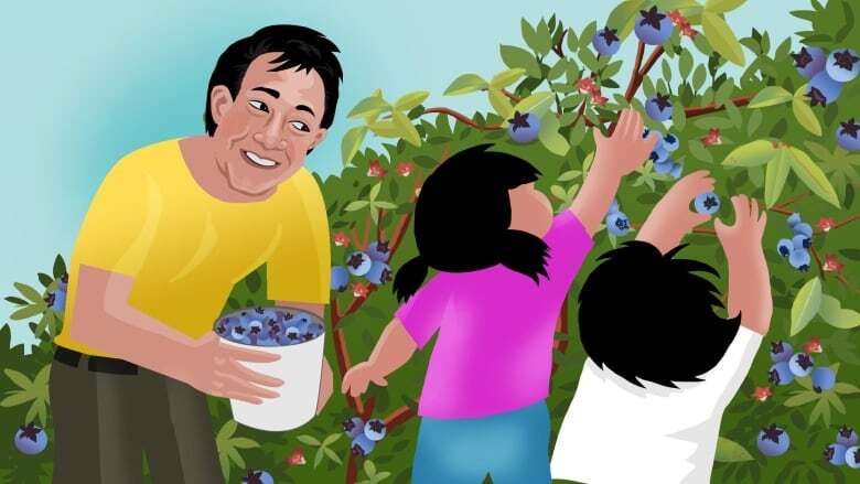 Picking blueberries with my family showed me I needed to be a less anxious parent