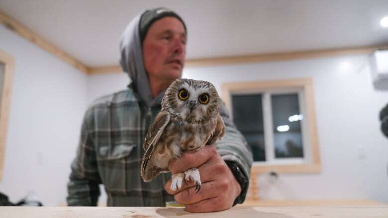 Now's the time to catch and band tiny owls at the only UNESCO biosphere region in Sask.