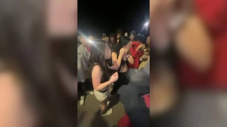 5 youths plead guilty in 2024 swarming of 13-year-old girl in Kelowna, B.C.
