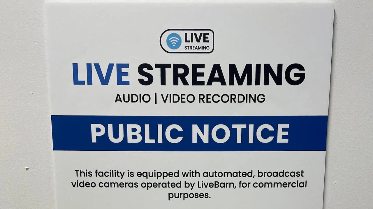 Kitchener creates livestreaming policy after day camps accidentally broadcast on website last summer