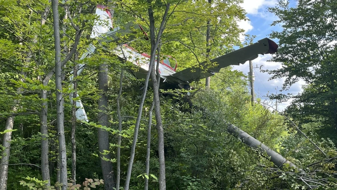 Small plane crashes west of Ottawa airport