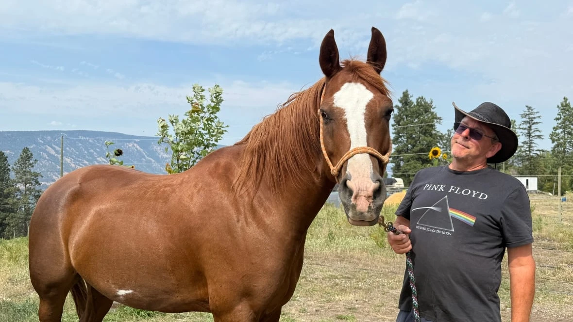 Tourists in Kelowna, B.C., spending carefully, opting for experiences