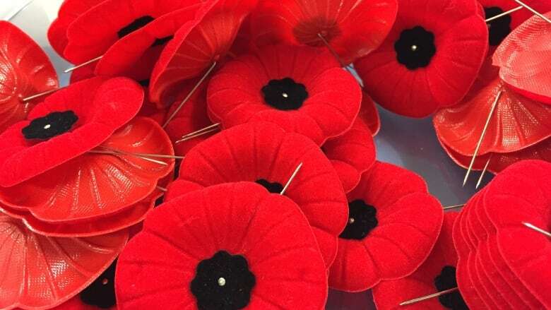 How to commemorate Remembrance Day in Hamilton and surrounding areas