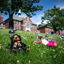 NDP seeking MPs' unanimous consent to label residential school experience as genocide