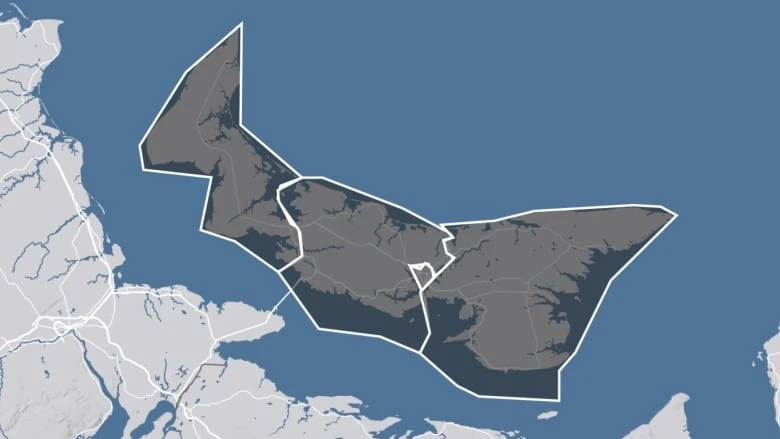 One last look at all the P.E.I. candidates running in the 2025 federal election