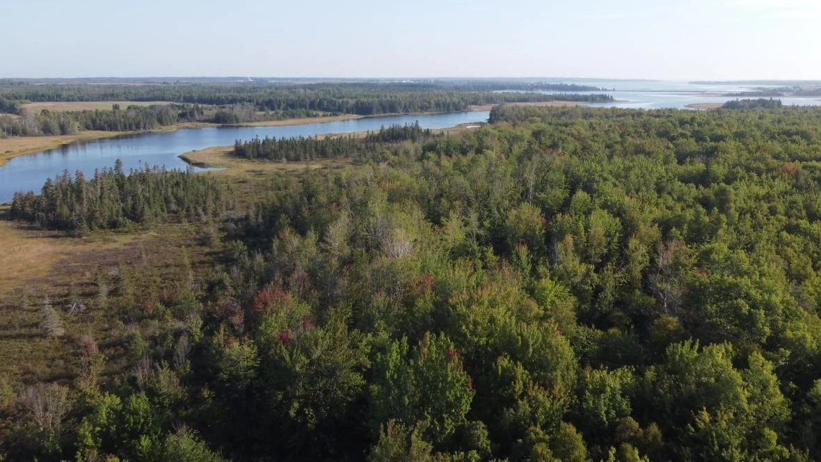 Western P.E.I. family donates 32 hectares to Island Nature Trust in honour of their parents