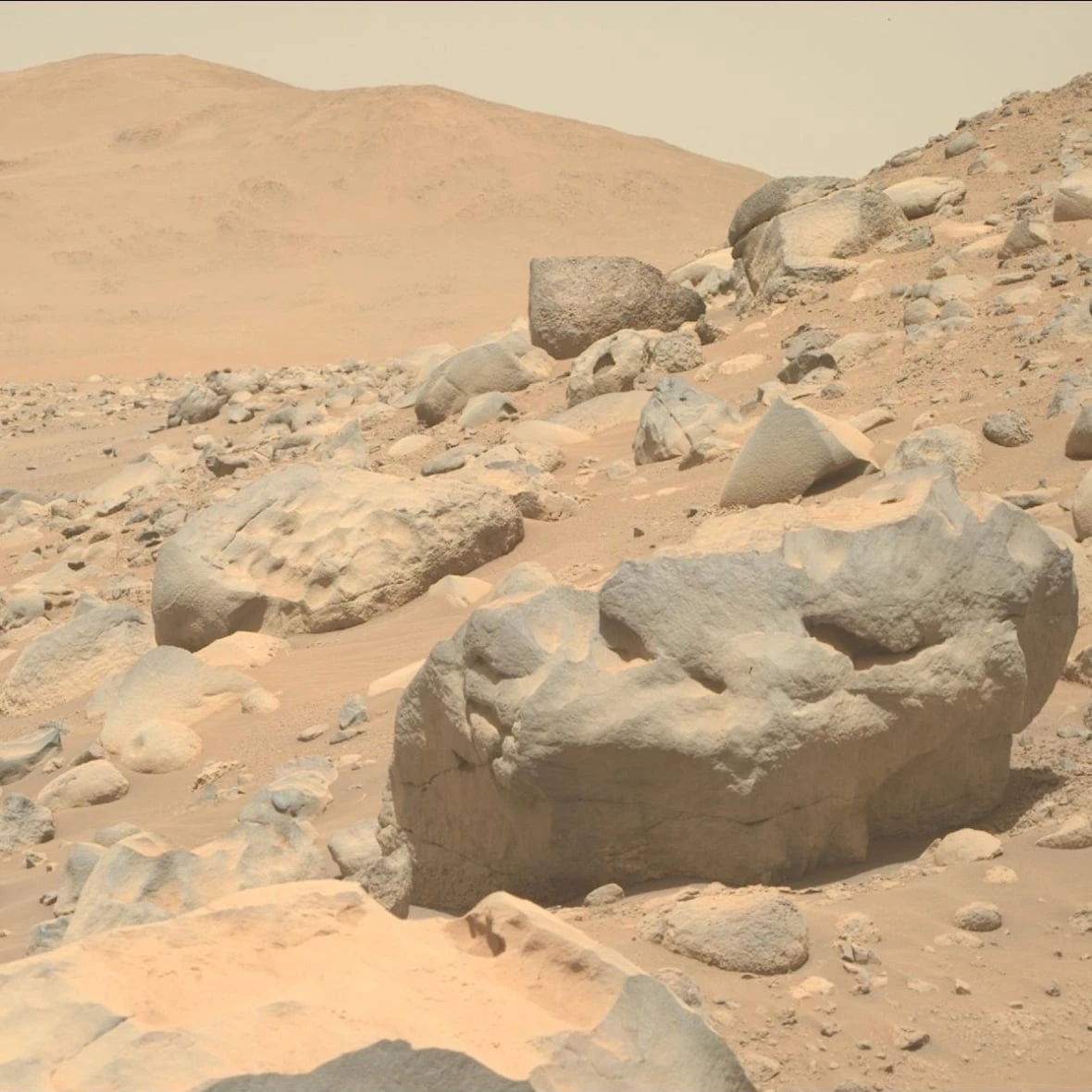 With uncertainty around life on Mars, human visits present an ethical dilemma