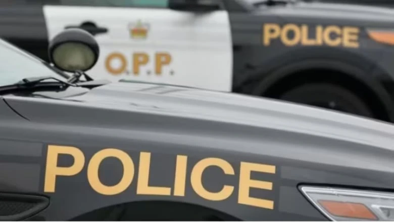 Pedestrian dead after being struck by vehicle in Leamington, OPP says