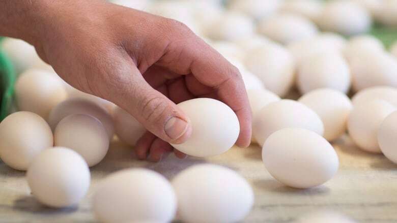 Eggs in Alberta, B.C., Ont., Man., Sask., recalled over salmonella concerns