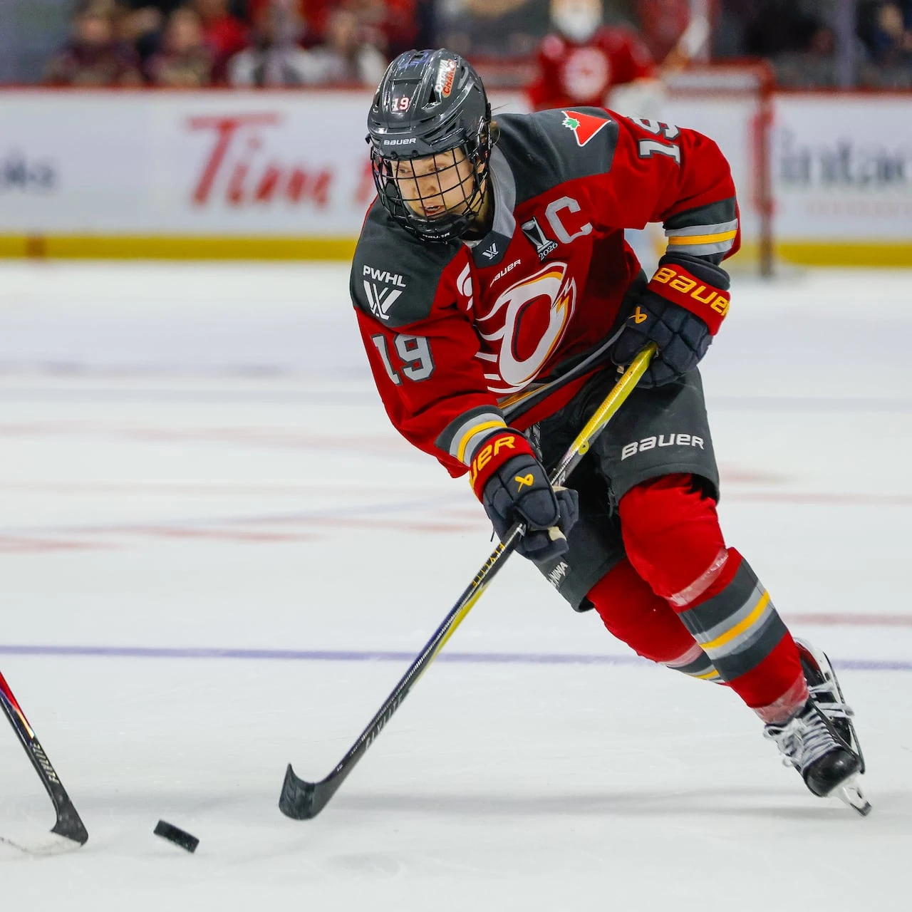 Setting a foundation: What we've learned about the PWHL's 4 newest expansion teams