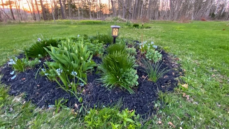 Fire department issues mulch warning as P.E.I.'s gardening and BBQ season arrives