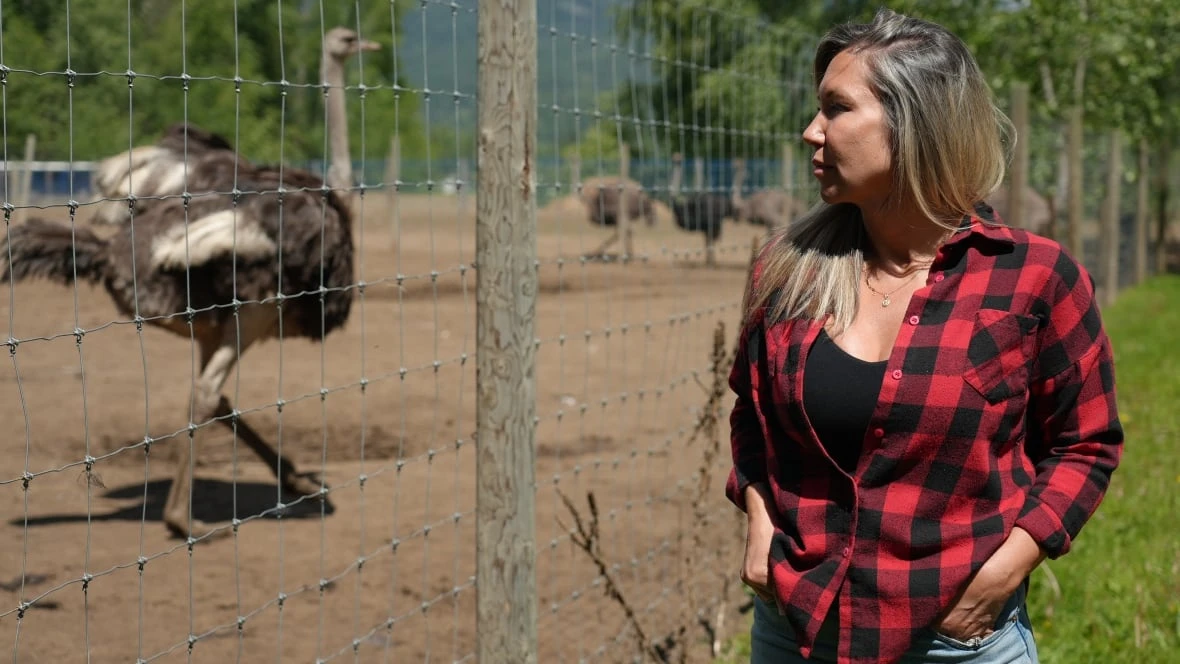 B.C. ostrich farm loses appeal to save birds from cull in case that attracted White House attention