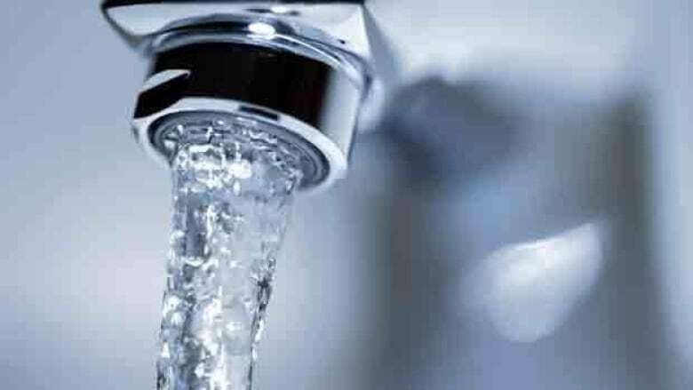 Almost 10,000 people in Abbotsford on boil water advisory after E. coli detected