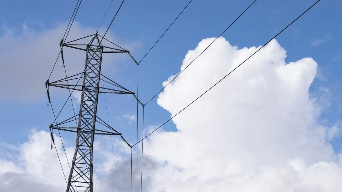 'A transformational moment': Caldwell First Nation becomes part-owner of transmission line
