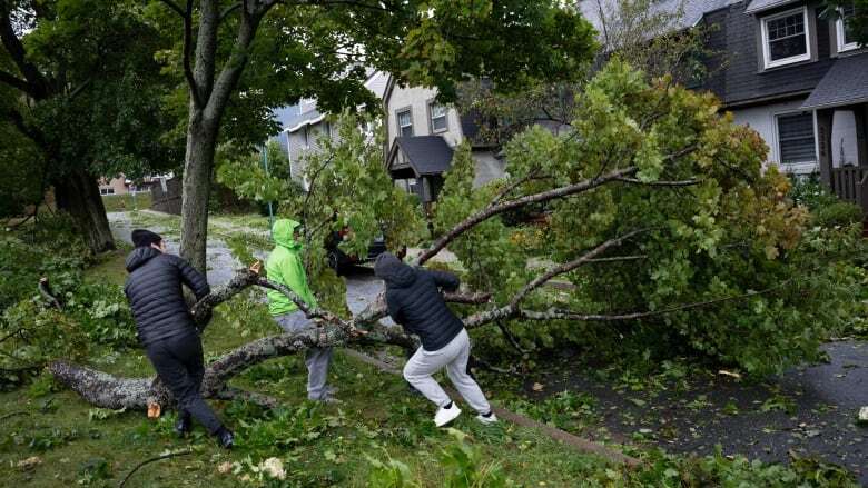 Halifax urges people who need extra help in emergencies to join registry