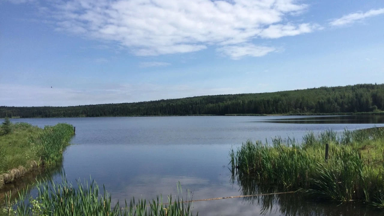 Province commits $500K as 'first step' to saving Inga Lake