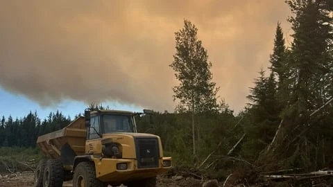 Evacuees from Armstrong, Whitesand and Collins First Nations in Thunder Bay following wildfire evacuations