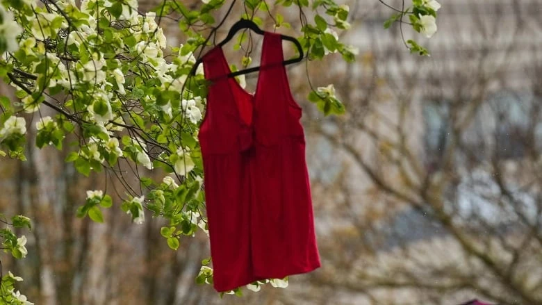Red Dress Day needs to go beyond just one day, say advocates in N.L.