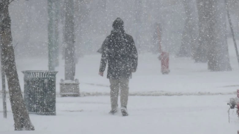 Blast of winter triggers blowing snow advisory for part of southern Manitoba: Environment Canada