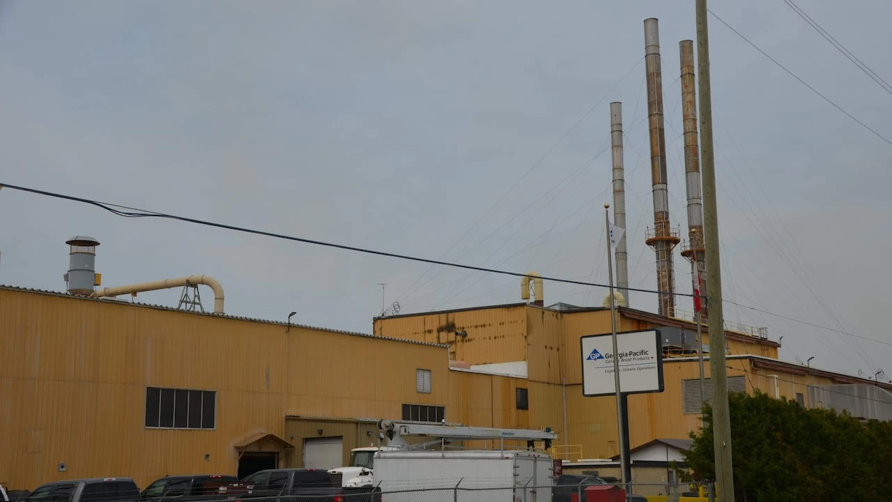 Ontario invests $10M in northern Ontario forestry operation