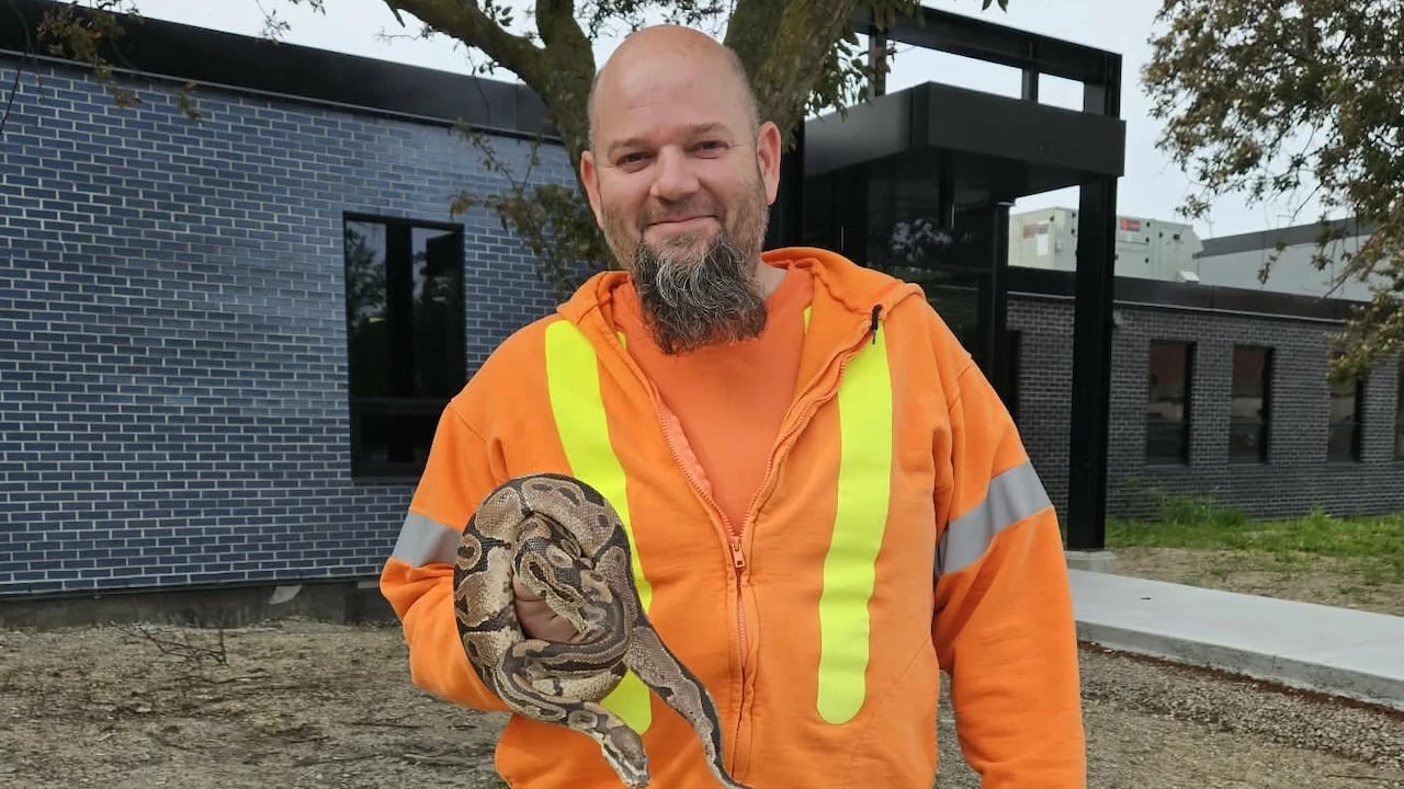 A python was found at a Windsor sewage plant. Was it flushed?