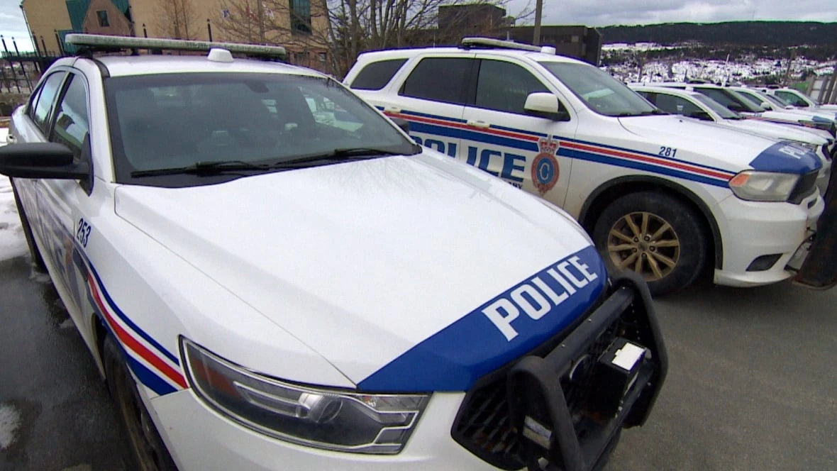 Police issue shelter-in-place order for St. John's neighbourhood