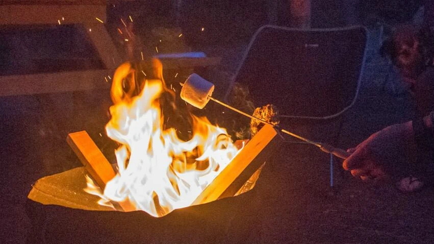 Lower wildfire risk on Vancouver Island expected to continue until mid-July