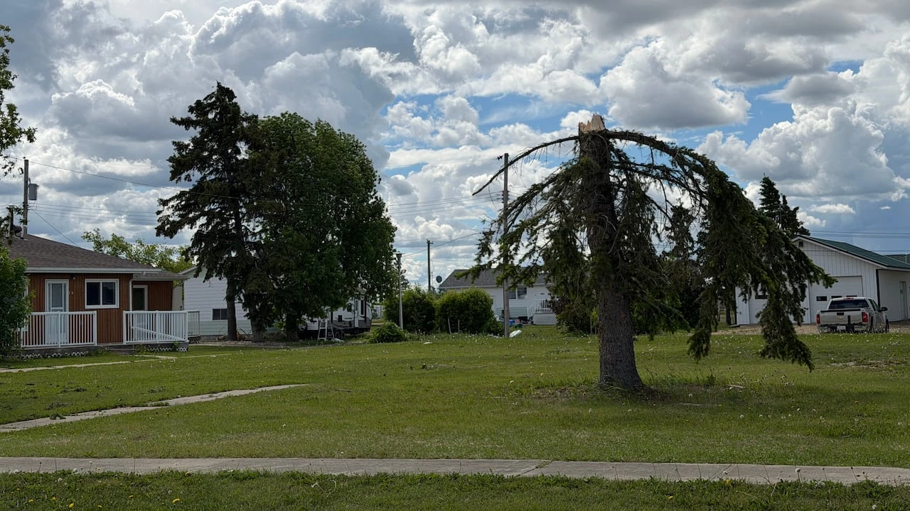 6 tornadoes swept through Alberta’s Peace region last week, researchers say