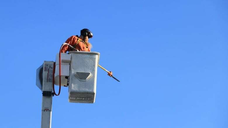 We tracked N.S. power outages in 2024. There were unplanned outages nearly every day